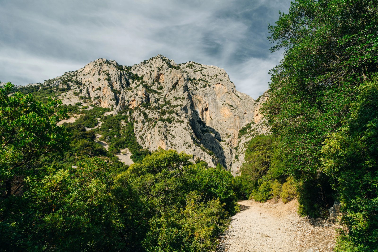 Gola di Gorropu gorge in Sardinia - The Gennargentu National Par Gola di Gorropu gorge in Sardinia - The Gennargentu National Park, Province of Nuoro. High quality photo
